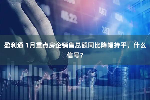 盈利通 1月重点房企销售总额同比降幅持平，什么信号？
